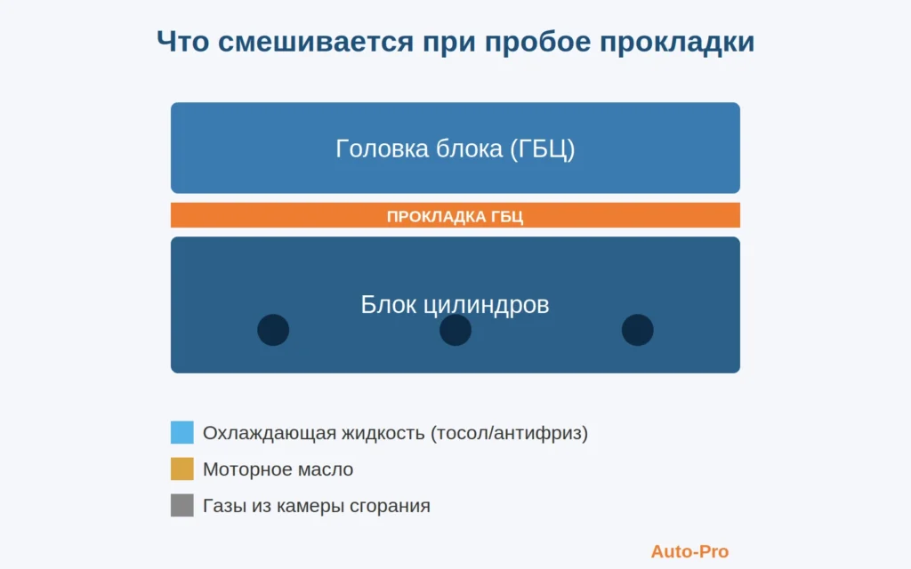 Схема пробоя прокладки ГБЦ — пути смешивания тосола, масла и газов между блоком и головкой двигателя